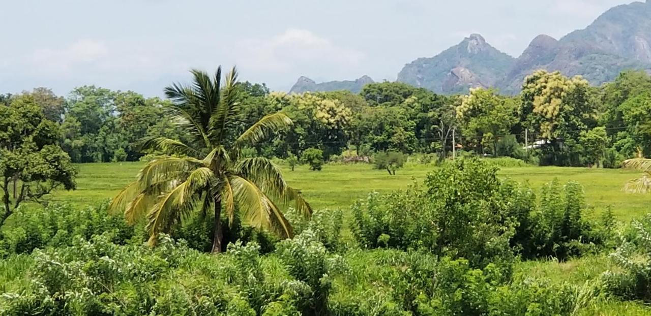 Nelu Resort Sigiriya Bagian luar foto
