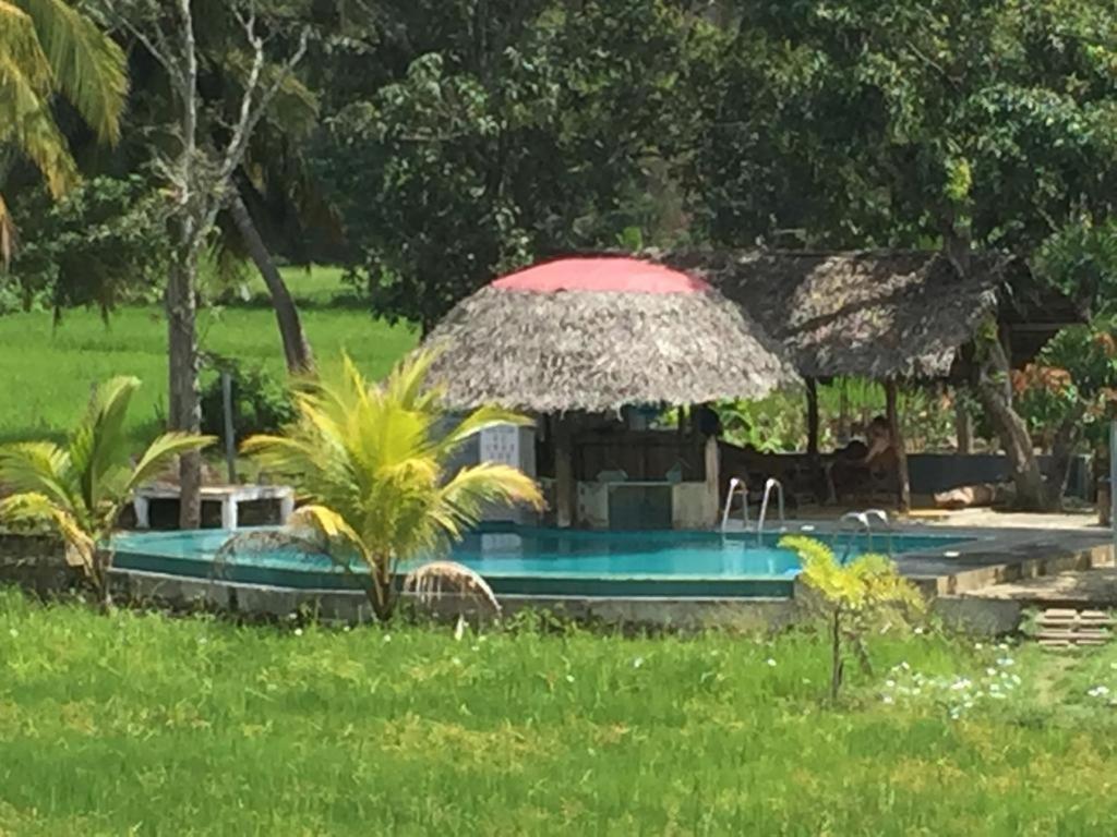 Nelu Resort Sigiriya Bagian luar foto