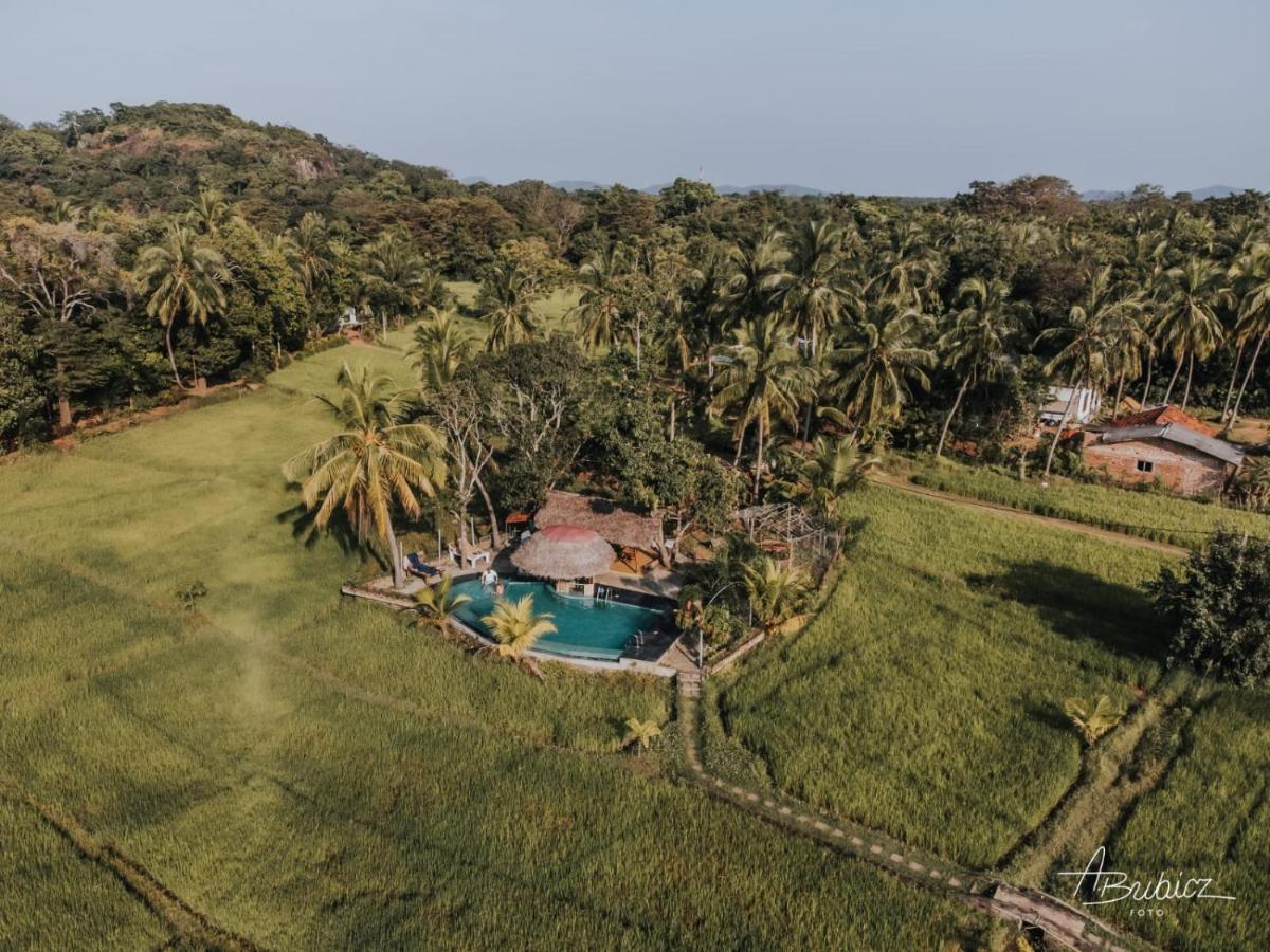 Nelu Resort Sigiriya Bagian luar foto